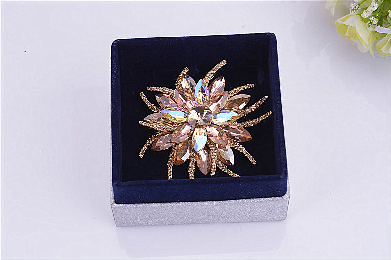 Broche femme en cristal autrichien - Ref 1187347 Image 12