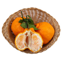 Shiranui Ugly Mandarin 4 pieces 880g box