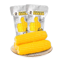 Zou Youcai vacuum-packed Northeast yellow glutinous corn on the cob 250g*5 pieces of yellow glutinous corn on the cob freshly picked fresh sweet corn ears