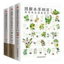 Illustrated Compendium of Materia Medica The Yellow Emperors Internal Classic Qianjin Prescriptions for Health Preservation 3 volumes including new and practical chapters - Illustrated version