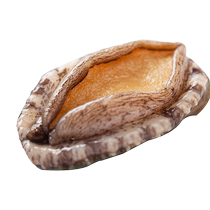 (Fresh) Abalone 45g or more