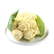 Preferred cauliflower 500g vegetables