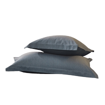 Mercury Home Textiles 100% Cotton Brushed Pair Pillowcases Antibacterial Pillowcases One Pair Autumn and Winter Fever Dormitory Bedding 24 Years New Product