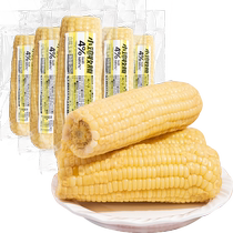 Northeast white waxy corn fresh corn on the cob vacuum-packed sticky corn ready-to-eat whole grain breakfast meal replacement staple food