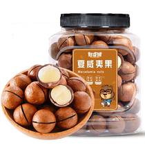 Bean Bear Canned Macadamia Nuts 412g Internet celebrity casual snack snack snack daily nuts roasted seeds and dried fruits
