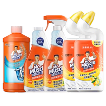 Mr. Mighty Cleaning Spree Kitchen Bathroom Oil Cleaner 455g*2 Pipeline 500g Toilet Cleaning Liquid 600g*2