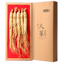 Banshan Nongbei ginseng Changbai Mountain whole branch 50g Chinese medicinal material non-wild ginseng special raw sun-dried ginseng for making wine