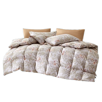 Mercury Home Textiles Class A Antibacterial Down Winter Quilt 90% White Duck Down Warm Quilt Core Autumn and Winter Warm Quilt 24 Years New Product