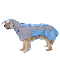 Pet dog trendy and cool color matching big dog raincoat golden fur border collie out walking dog artifact special poncho for rainy days