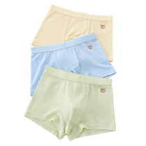 Mianqi Xiong childrens underwear boys modal shorts summer thin 2024 new boxer shorts big childrens underwear