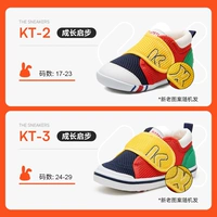 Цвет цвета (модель сетки глаз)