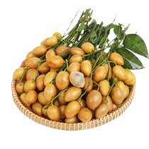 Guangdong Huangpi 400g box