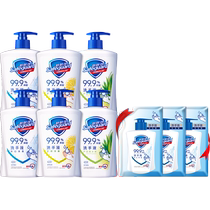 Safeguard Classic Childrens Household Hand Sanitizer Fragrance Family Pack 3120g