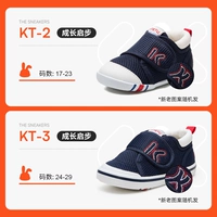 Синий (модель сетки глаз)