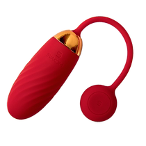 Siwokan APP controls vibration wearable vibrator for women masturbation device for clitoral orgasm interesting adult sex products