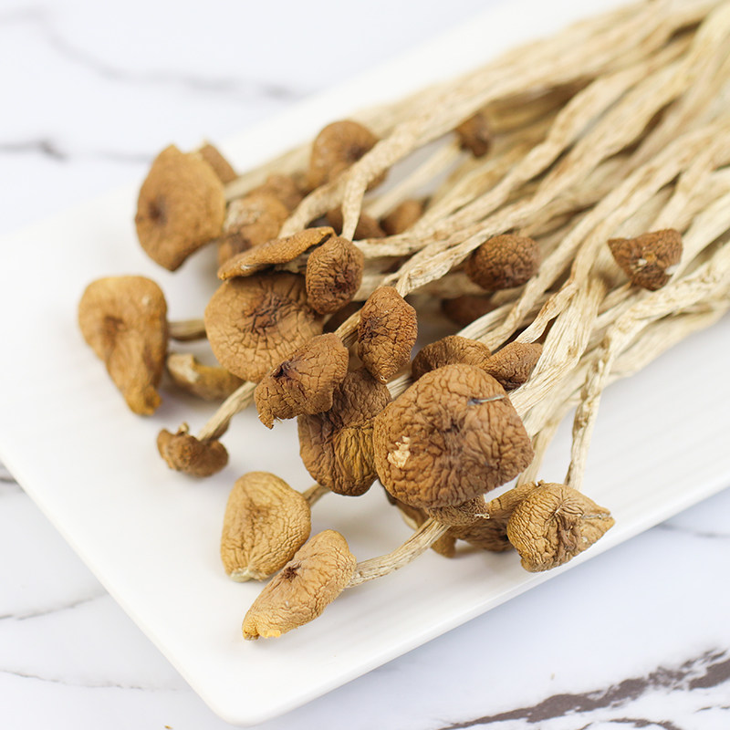 Picking up the reputation of tea tree mushroom dry goods fresh without opening the umbrella Gutian tea salary mushroom farm non-smoked sulfur mushroom specialty