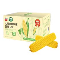 Tailiang Downton Farm Yellow Waxy Corn 220g*8 New Corn Launched Vacuum Packed Northeastern Sweet Waxy Corn