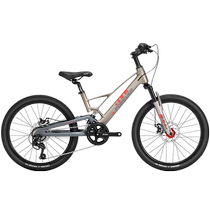 Shanghai Permanent Card Mountain Bike Teen Student Car Magnesium Alloy Softtail Cross-country Bike 20 22 pouces