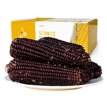Tianqin Grain Net Black Waxy Corn Sweet Sticky Vacuum Sticky Corn Cob 200*8 Count