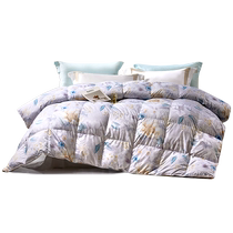 Fuanna quilt goose down quilt spring and autumn quilt universal winter warm winter thick quilt thickened quilt down quilt core