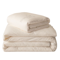 MUJI silk quilt 2024 wild silkworm two-in-one mother-in-law quilt spring and autumn quilt winter quilt core universal for all seasons