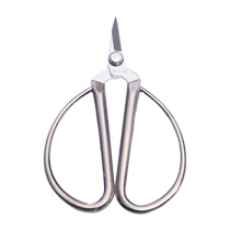 Zhang Xiaoquan alloy nail scissors ns-9 nail clipper nail groove special stainless steel household small scissors embroidery scissors