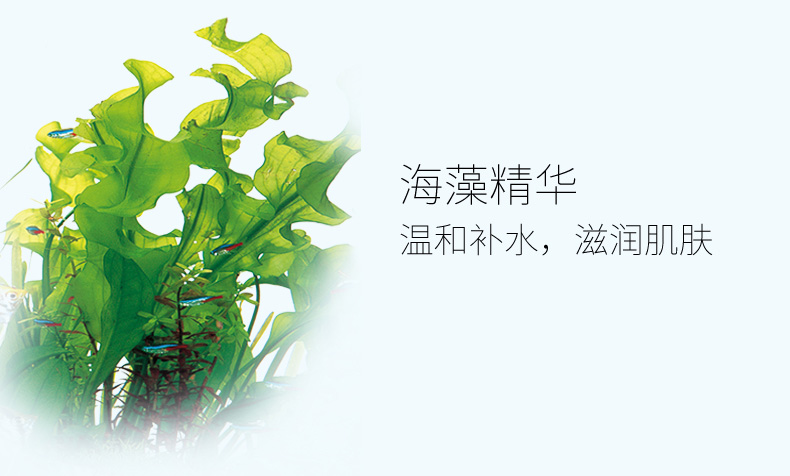 Khăn lau bé trai tốt Đại dương giữ ẩm cho bé 80 miếng có nắp giấy ướt