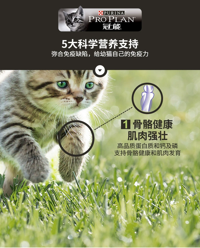 KẾ HOẠCH CHUYÊN NGHIỆP / Thức ăn cho mèo Guanteng Cân bằng dinh dưỡng Thức ăn chủ yếu cho mèo 400g - Cat Staples cám royal canin