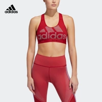 Шимбин | FJ3619