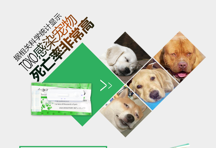 TOXO dog cat Toxoplasma gondii pet test paper dogstory zoonosis mang thai sử dụng bản sao duy nhất - Cat / Dog Medical Supplies 	phụ kiện kim tiêm thú y	