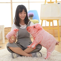Quà tặng năm mới, lễ hội mùa xuân, năm của năm, bất ngờ, bưu chính, chất béo, lợn, nhung, linh vật, vải sang trọng, đồ chơi, quà tặng, bông PP sỉ đồ chơi trẻ em