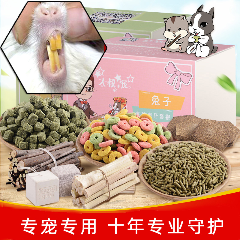 Rabbit Special Grindroa Stone Holland Pig Dragon Cat Squirrel Hamster Grinding Tooth Supplies Package Snack apple Branches Toys