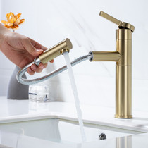 Modern pumping surface basin swivel tap hot and cold washbasin black and white chrome gold home toilet telescopic tap