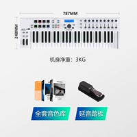 49 ключ белый+педаль+2T Массивный источник звука