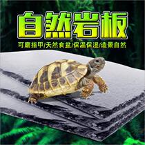 Tortoise slate mat Natural rock Food basin Food plate Rock board Climbing pet tortoise box Reptile lizard Moisturizing insulation stone