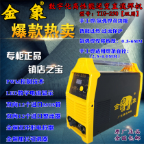 Golden elephant TIG-250A inverter DC argon arc welding machine dual-purpose welding machine household 220V portable Portable