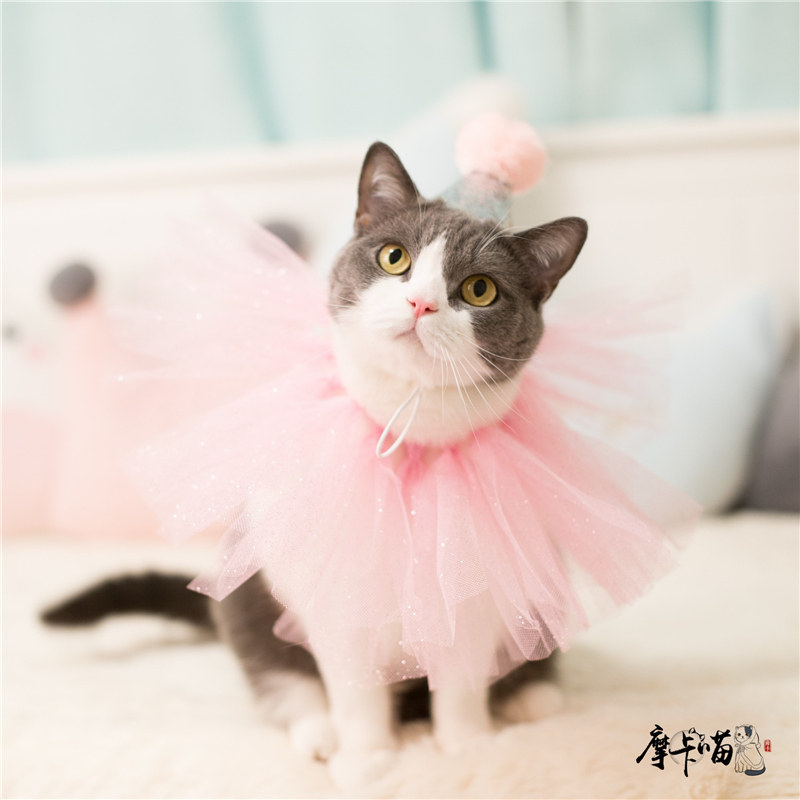 Cat and dog headwear birthday party hat scarf suit cute and cute gauze skirt pet festival photo props
