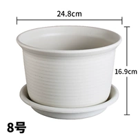 № 8 Middle Bowl+Duto's Duto № 8 (Ri Shi Color)