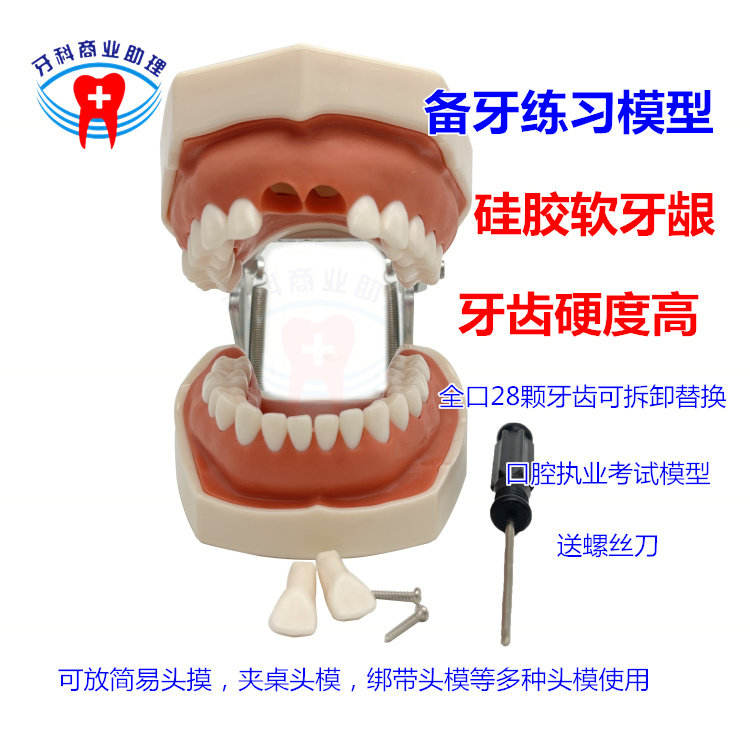 口腔牙科牙齿模型 备牙练习软牙龈牙模 可拆缷替换仿真树脂离体牙