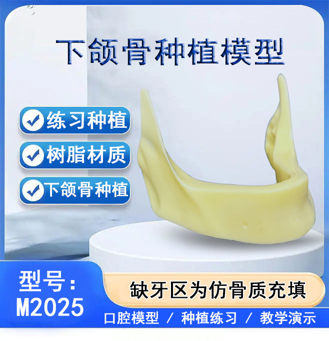 牙科 下颌骨种植练习模型 无牙颌发泡仿真骨质种植钻孔练习2025