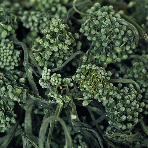 万河 Цветок женьшеня Северо-Восточный Чанбайшань Горный женьшень Цветок женьшеня Бутоны цветка Северо-восточный женьшень Ароматный чай 50 г