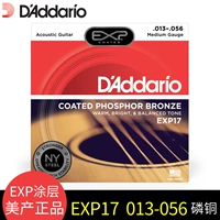 Exp17 (13-56 Phosphorus Copper)
