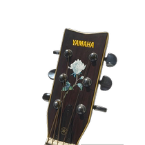 Dongle JOCKOMO HSH White Rose Single Rose Electric Acoustic Guitar Bass Head Sticker Nissan
