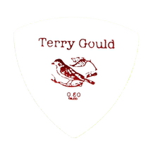 Japanese Pickboy guitar pick Terry Gould electric bass folk acoustic guitar non-slip strumming piece