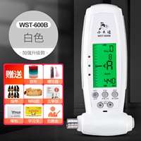 600B-White+Give Guzheng Gift Pack [Pack Church]