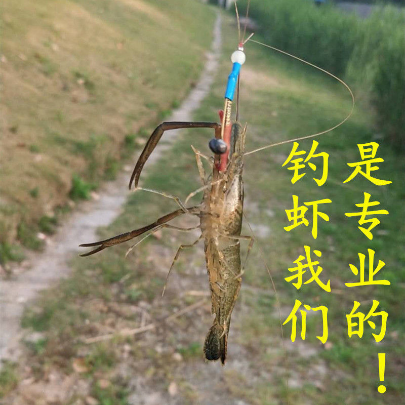 Fishing artifact fishing shrimp artifact fishing river shrimp hook fishing grass shrimp hook river shrimp hook shrimp hook shrimp hook fishing shrimp hook fishing