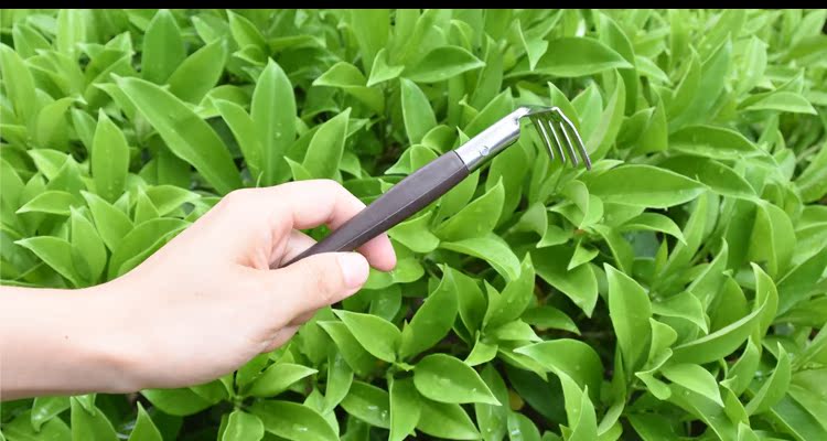 Mini rau mọng nước cung cấp dụng cụ làm vườn ban công trồng hoa cung cấp làm vườn ba mảnh chậu đất nung trồng cây
