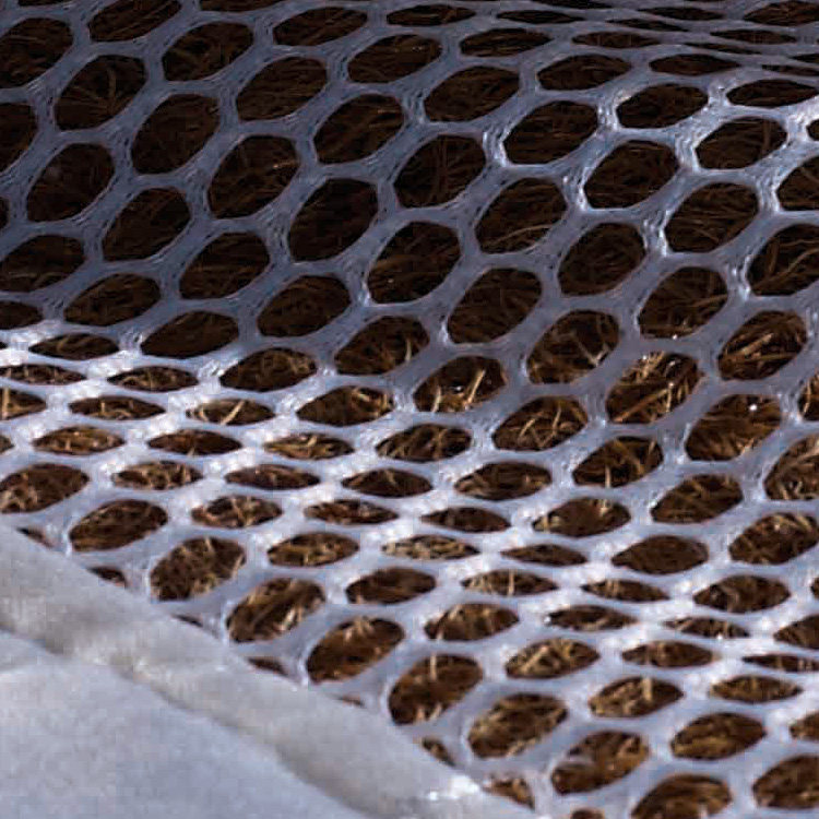 һ��һƷ����D6611