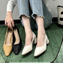 No foot wear ⊙ French style small square toe single shoes for women new style simple commuting versatile soft leather non-tiring feet thick heel granny shoes