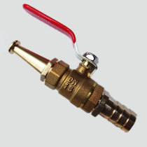 Special four-point six-point one-inch PVC hose plug water gun nozzle All copper watering flower car wash high pressure straight nozzle